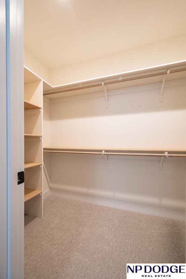 8909 Appaloosa Ln, Lincoln, NE 68520 - walk in closet with carpet