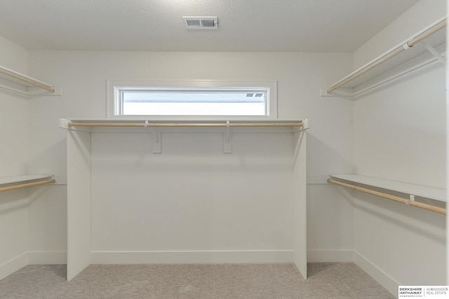 walk in closet featuring light carpet