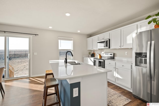 kitchen featuring white cabinets, stainless steel appliances, a kitchen island with sink, and sink