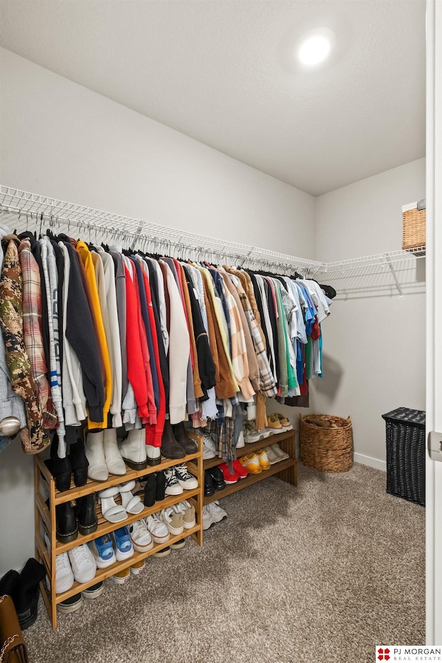 spacious closet featuring carpet