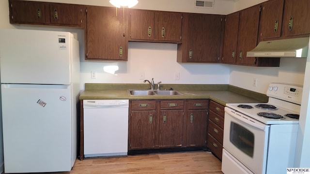 kitchen with sink, white appliances, dark brown cabinetry, and light hardwood / wood-style floors