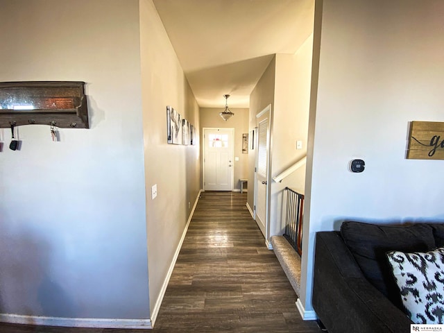 hallway featuring dark wood-type flooring