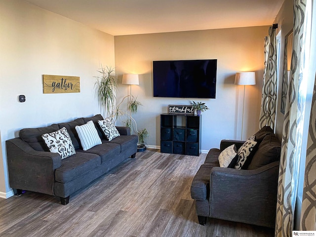 living room with wood-type flooring