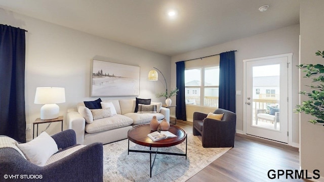 living room featuring wood-type flooring