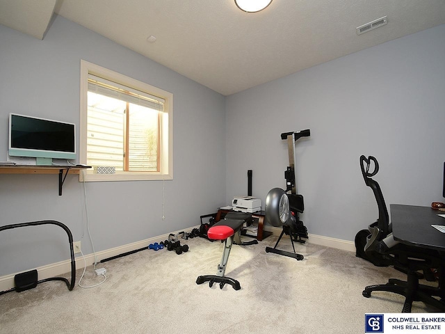 workout area with carpet