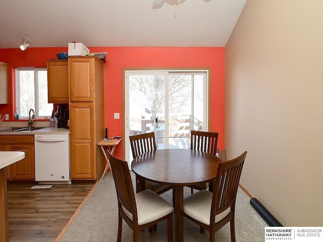 dining room featuring sink, lofted ceiling, and dark hardwood / wood-style floors