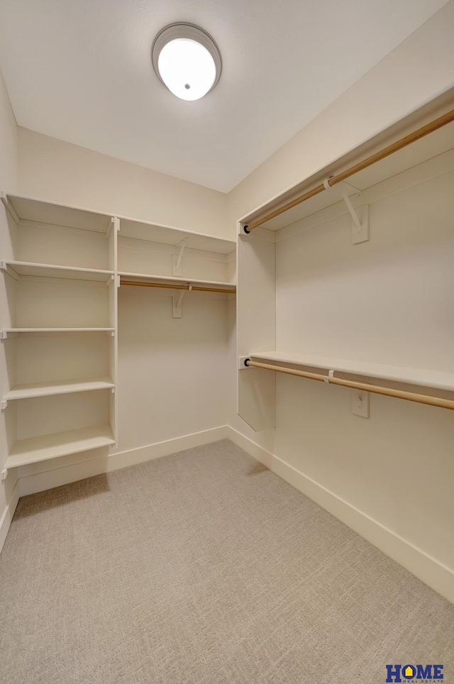 spacious closet with carpet