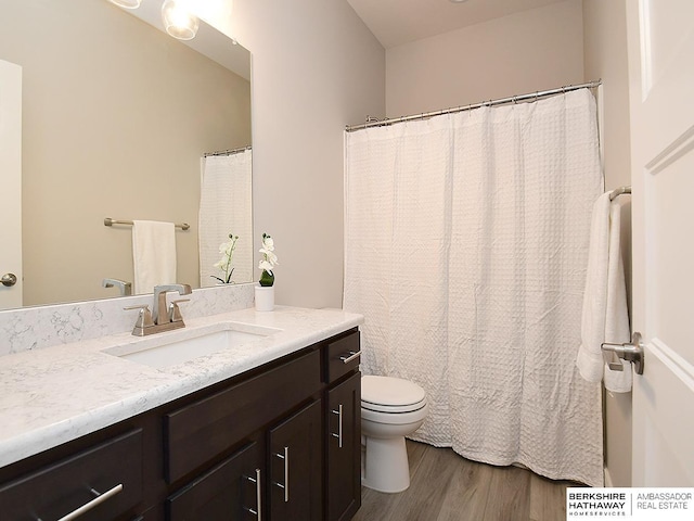 bathroom with vanity, toilet, and wood finished floors