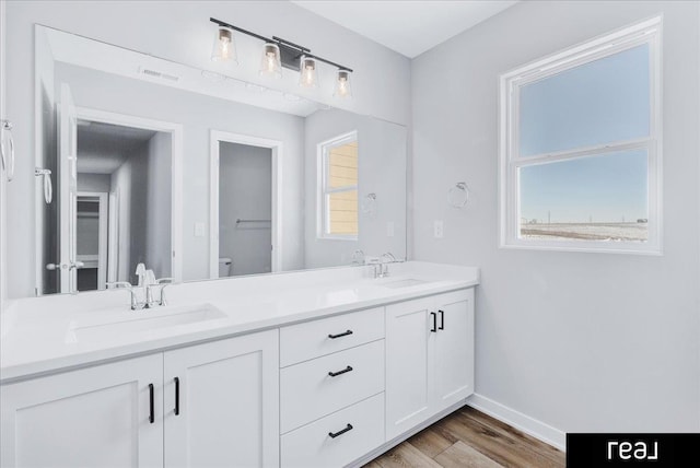 full bath featuring a healthy amount of sunlight, double vanity, a sink, and wood finished floors