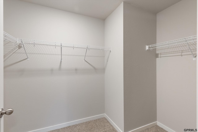 walk in closet with carpet flooring