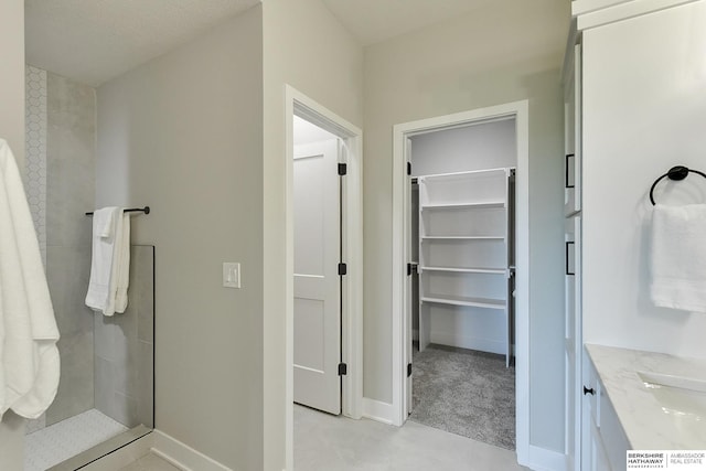 21802 Parkview Dr, Gretna, NE 68028 - bathroom with a walk in closet, tiled shower, and vanity