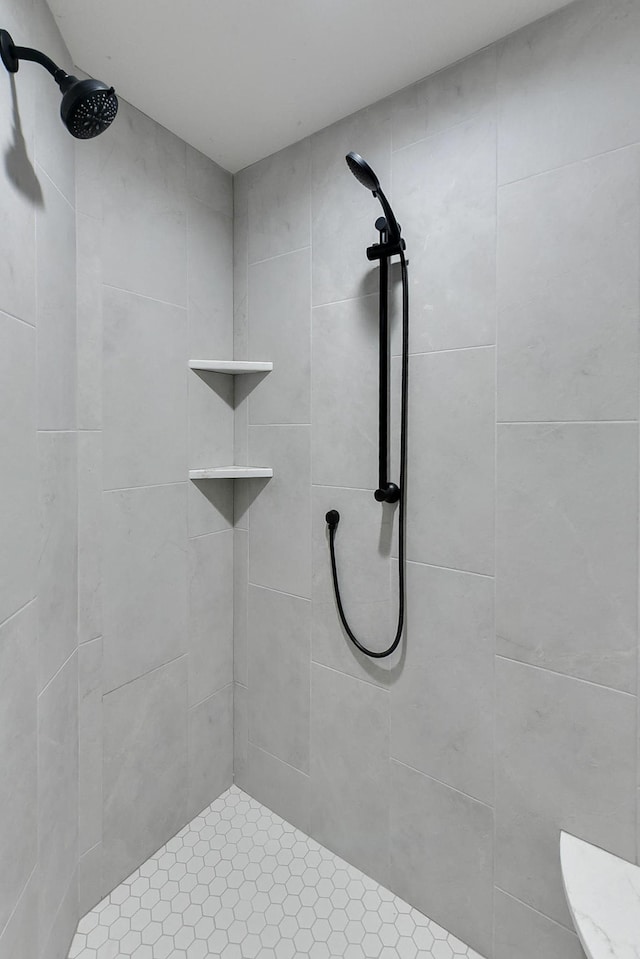 21802 Parkview Dr, Gretna, NE 68028 - full bath with a tile shower