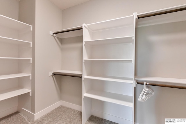 21802 Parkview Dr, Gretna, NE 68028 - walk in closet featuring light colored carpet