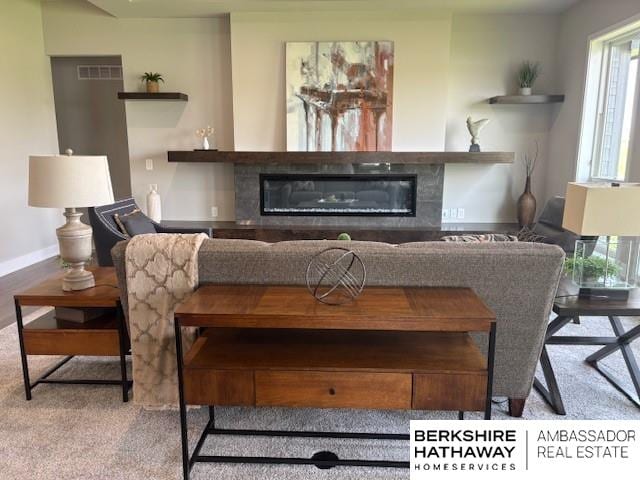21802 Parkview Dr, Gretna, NE 68028 - living room featuring a glass covered fireplace and baseboards