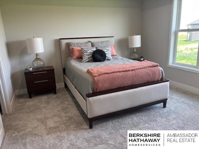 21802 Parkview Dr, Gretna, NE 68028 - bedroom featuring carpet floors and baseboards