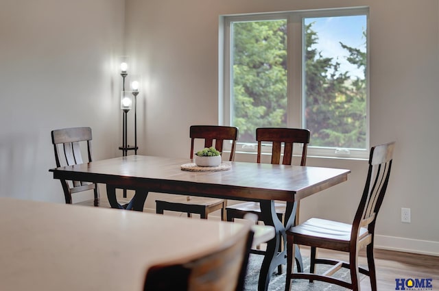 dining space featuring baseboards and wood finished floors