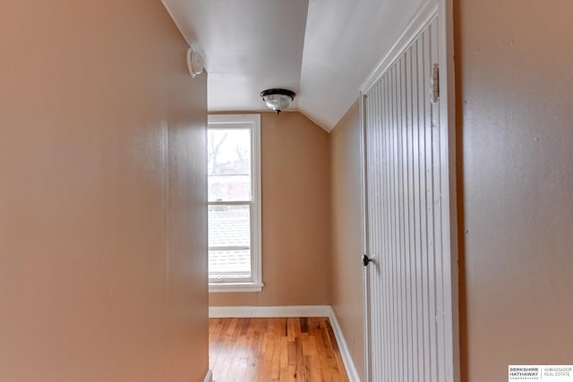 interior space featuring light wood-style floors, lofted ceiling, plenty of natural light, and baseboards