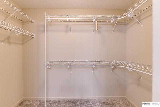 spacious closet with carpet flooring