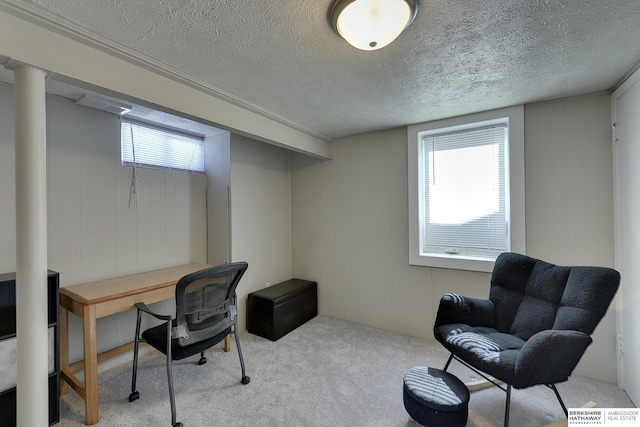 home office featuring light carpet and a textured ceiling