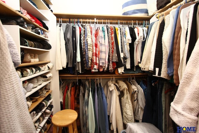 view of spacious closet