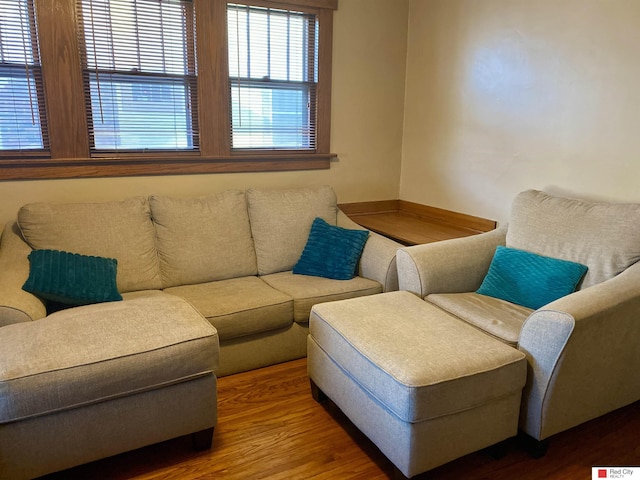 living room featuring wood finished floors