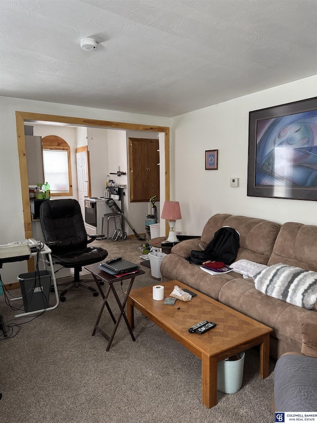 living room with carpet and a textured ceiling