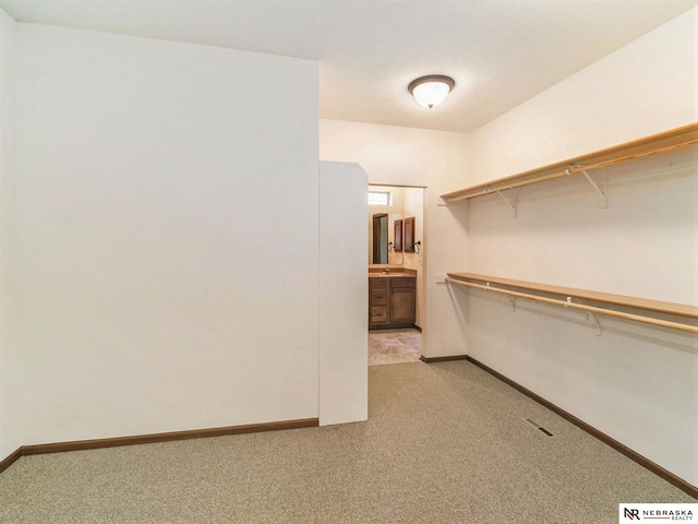 walk in closet with light carpet