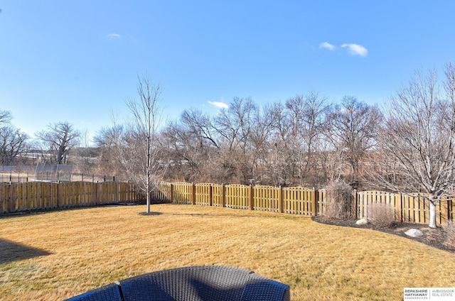 view of yard featuring a fenced backyard