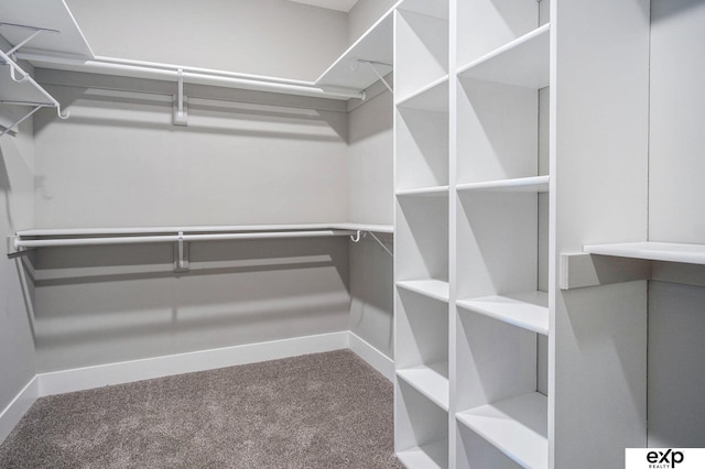 spacious closet with carpet flooring