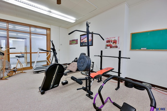 exercise area featuring carpet floors