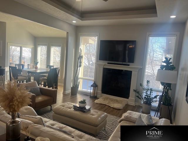 living area with a fireplace, a raised ceiling, and wood finished floors