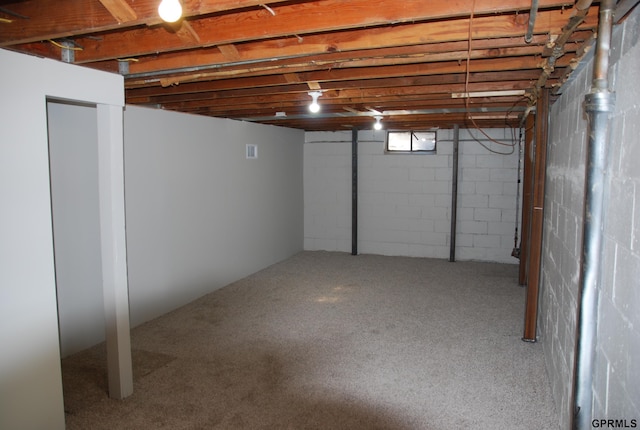 basement featuring carpet flooring