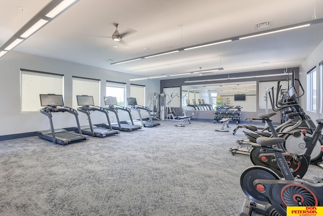 3563 Little Bluestem Rd, Fremont, NE 68025 - exercise room featuring ceiling fan, healthy amount of natural light, and carpet floors