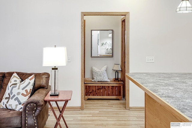 living area with baseboards and light wood-style floors