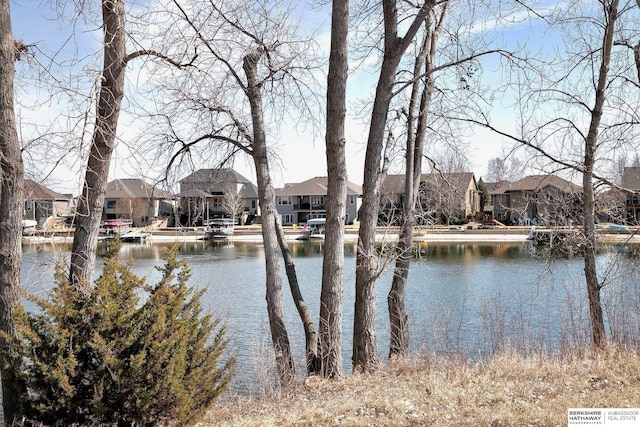 view of water feature with a residential view