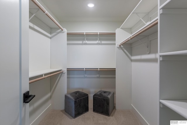 walk in closet with light colored carpet