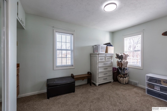 interior space with light colored carpet, visible vents, and plenty of natural light