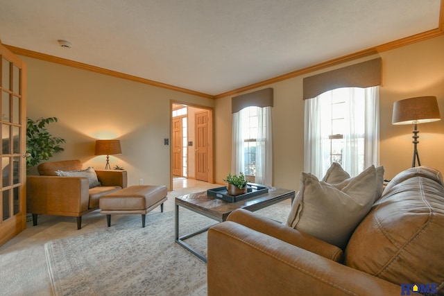 living room featuring carpet floors and ornamental molding