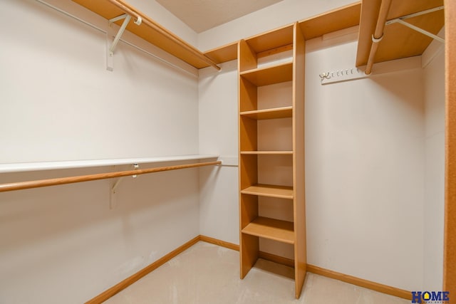 spacious closet featuring light carpet