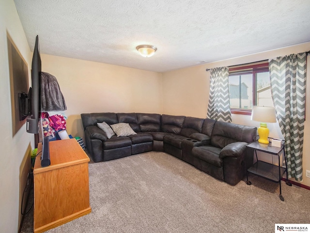 carpeted living room with a textured ceiling
