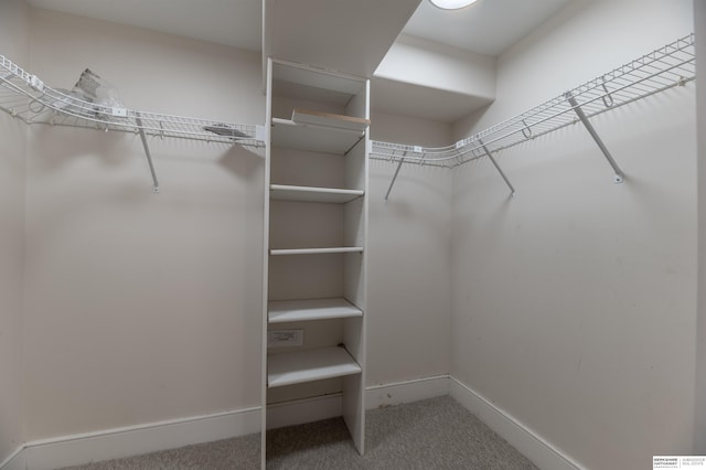 walk in closet featuring carpet