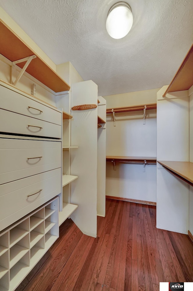 spacious closet featuring dark wood-style flooring