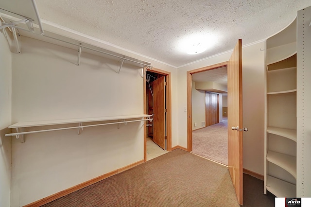 walk in closet featuring light carpet