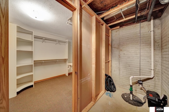 unfinished basement with light carpet and brick wall