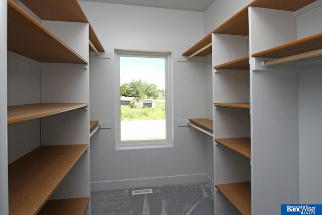 walk in closet with carpet and visible vents