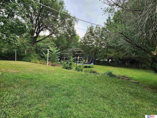 view of yard with a trampoline