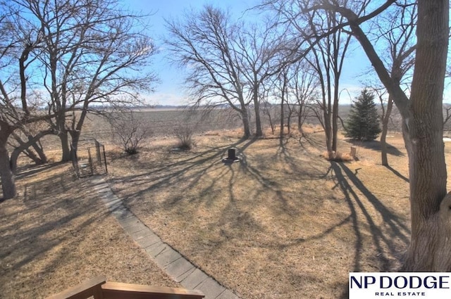 view of yard with a rural view