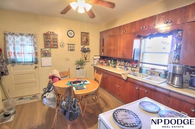 kitchen featuring a ceiling fan, dark wood-style flooring, light countertops, and a sink