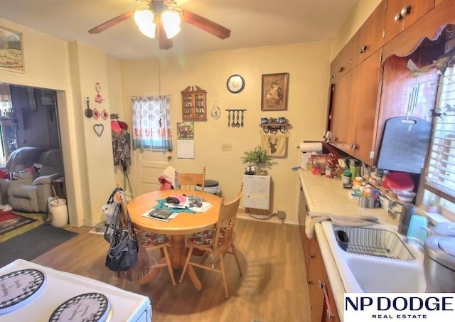 dining room featuring ceiling fan and wood finished floors