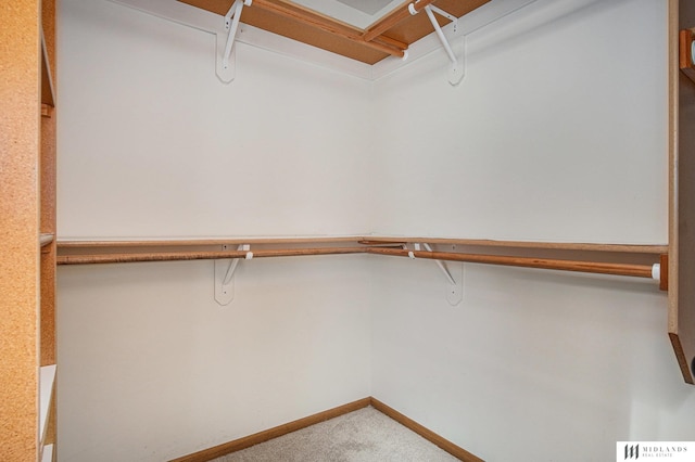 spacious closet with carpet floors